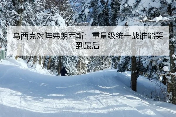 乌西克对阵弗朗西斯：重量级统一战谁能笑到最后